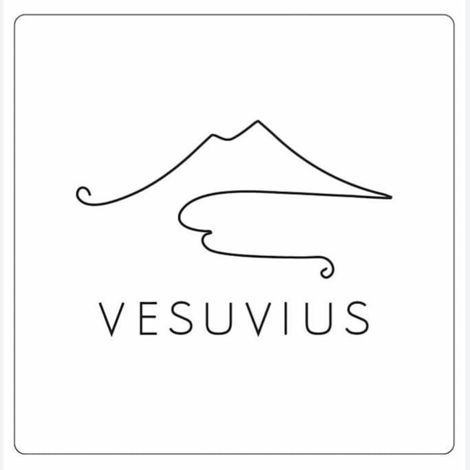 Vesuvius A Mezzocannone Apartment Napoli Ngoại thất bức ảnh
