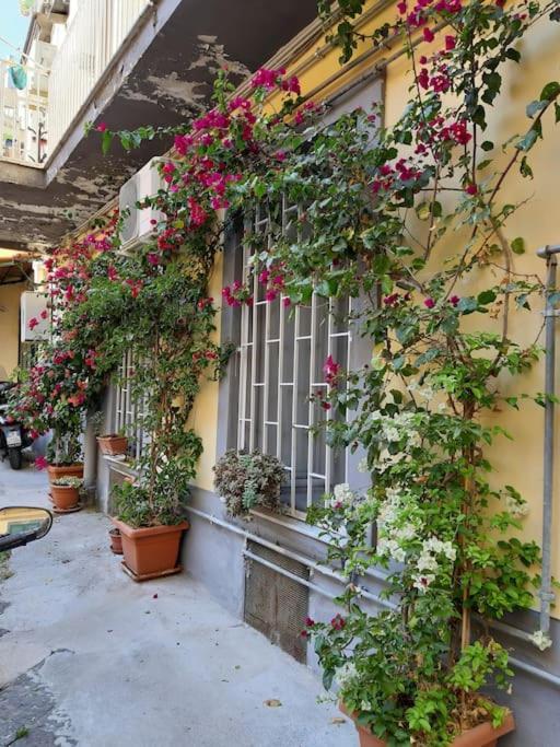 Vesuvius A Mezzocannone Apartment Napoli Ngoại thất bức ảnh