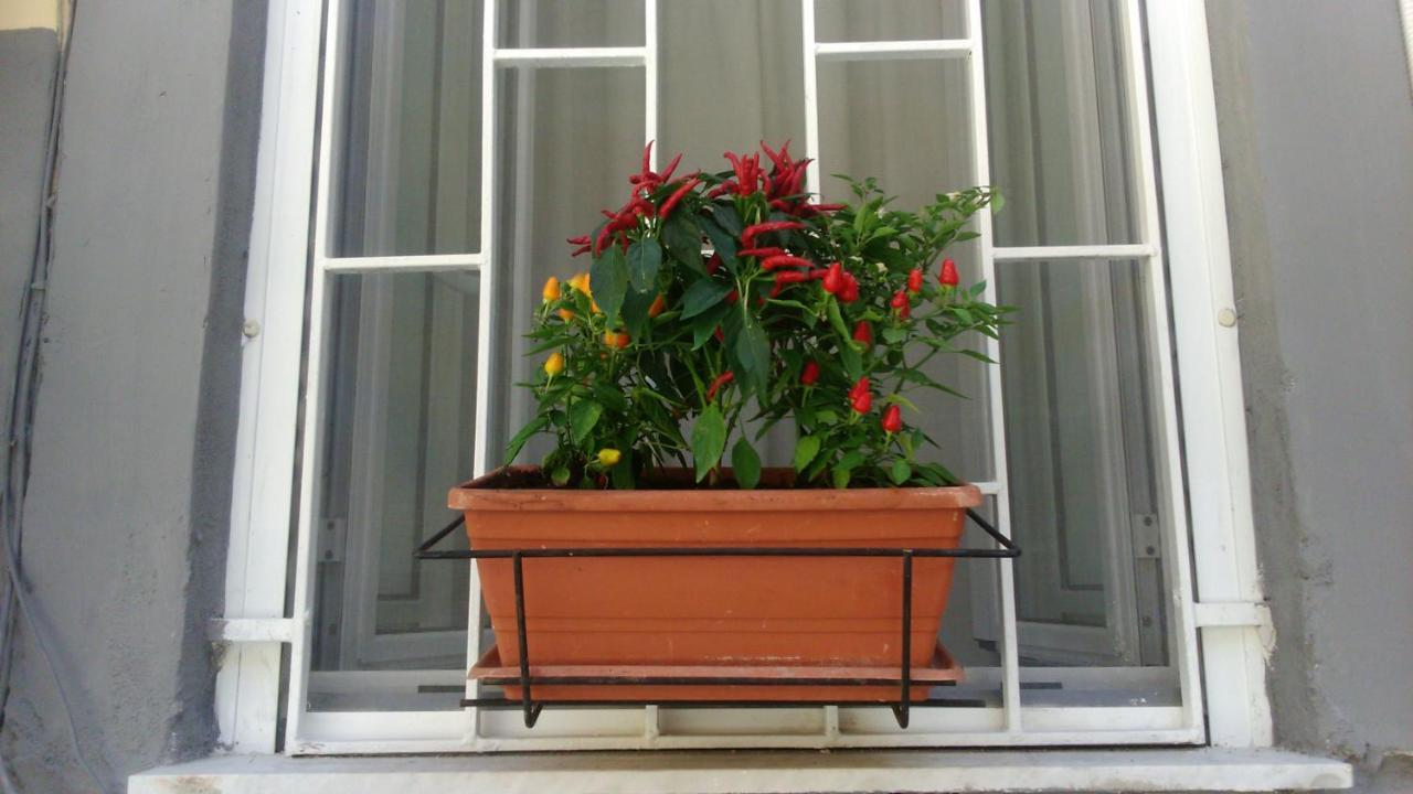 Vesuvius A Mezzocannone Apartment Napoli Ngoại thất bức ảnh